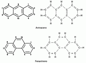 Moléculas Orgánicas