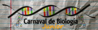 XXVI Carnaval de Biología. La Naturaleza de las Cosas Vivas
