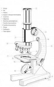 Partes del Microscopio